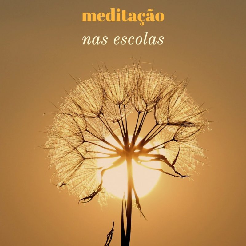 meditacao nas escolas